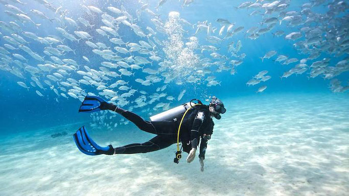 best places for scuba diving in the world