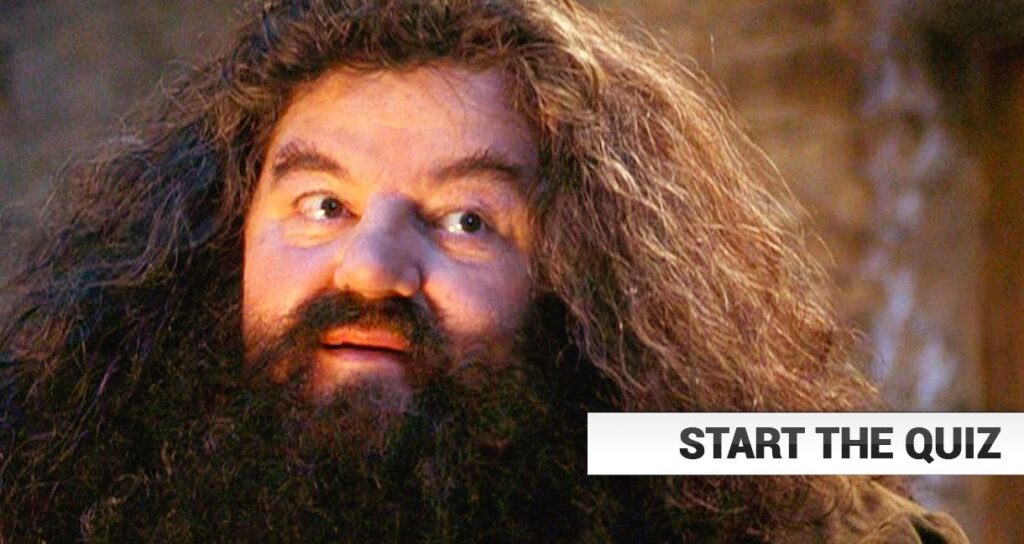 Rubeus Hagrid Quiz