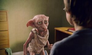 The Ultimate Dobby Quiz